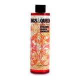 KING&QUEENS/�V�����[�W�F��