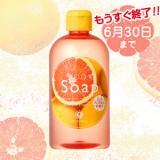 �{�f�B�\�[�v PGF(�s���N�O���[�v�t���[�c�̍���)