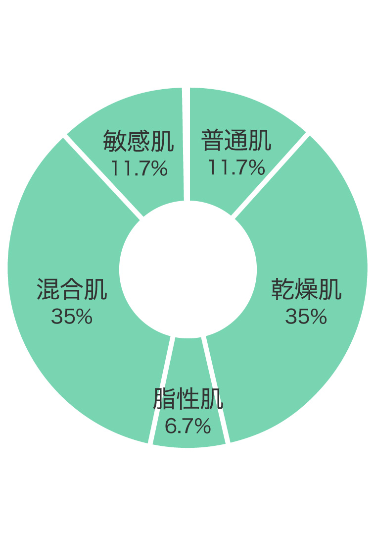 肌質割合グラフ