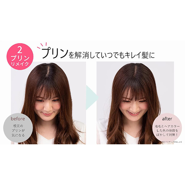 ヘアファンデーション スティックタイプ / ダークブラウン / 3g / 本体 1