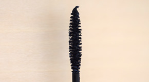 Type of Brush