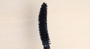 Type of Brush
