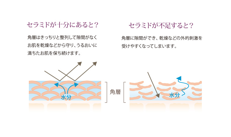 横いっぱいの画像