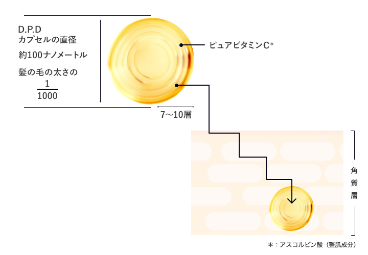 D.P.Dカプセルの直径 約100ナノメートル 髪の毛の太さの1000/1