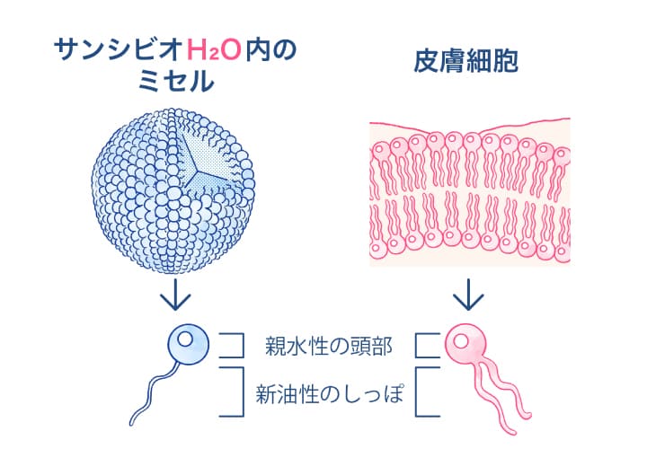 99.6%肌と類似した組成の成分