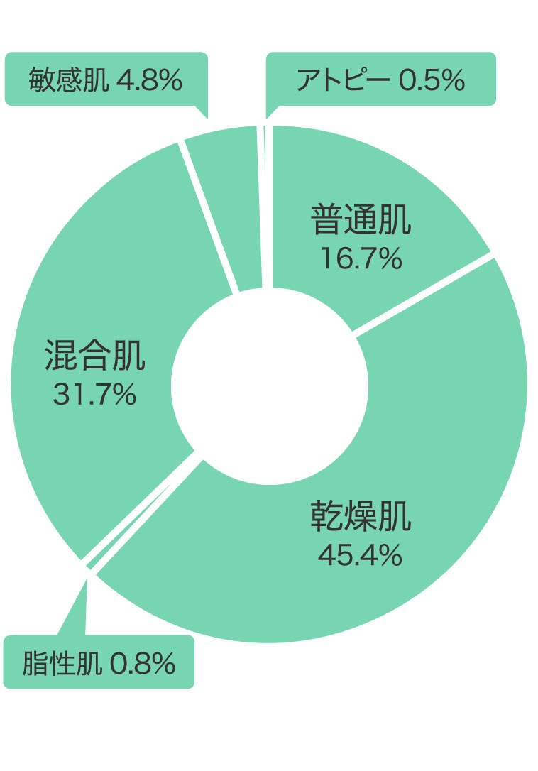 肌質割合グラフ