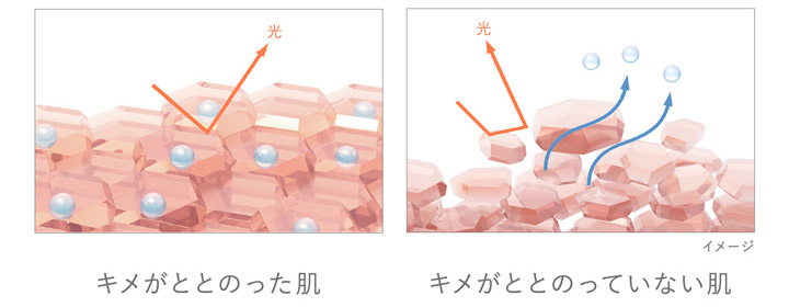 イメージ キメがととのった肌 キメがととのっていない肌