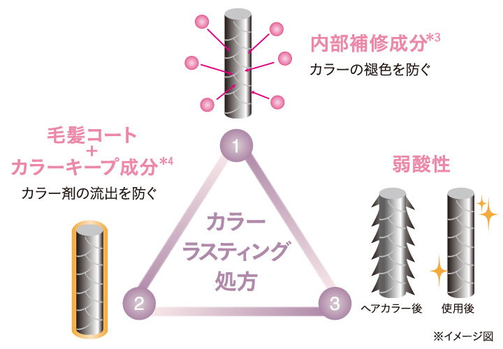 カラーラスティング処方　1内部補修成分*3カラーの褪色を防ぐ　2毛髪コート+カラーキープ成分*4カラー剤の流出を防ぐ　3弱酸性
