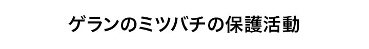 ゲランのミツバチの保護活動