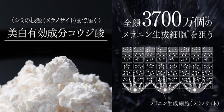 美白有効成分コウジ酸