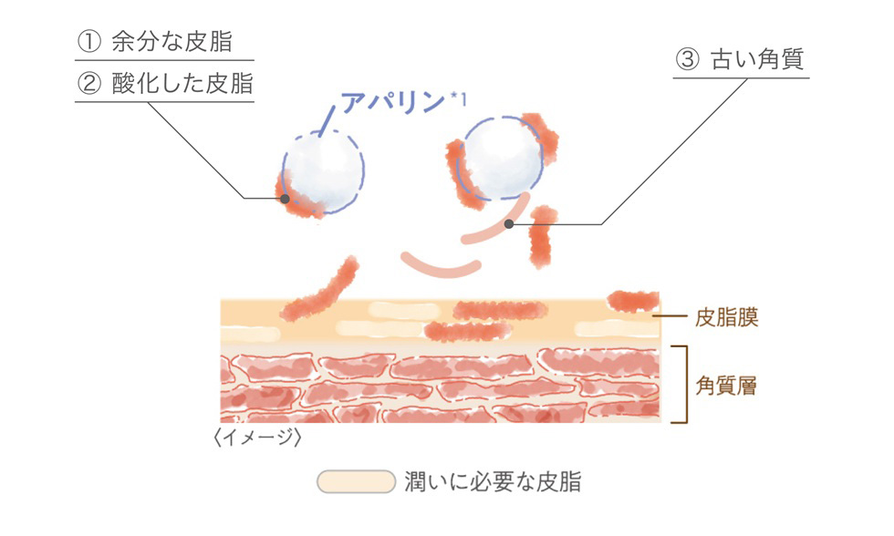 うるおいに必要な皮脂は残す”選択吸着機能”