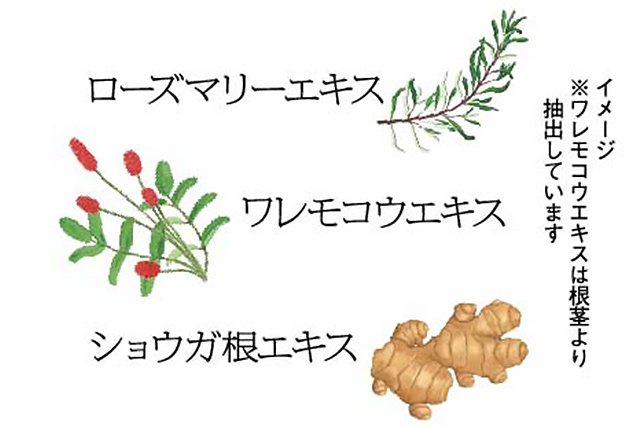 ローズマリーエキス ワレモコウエキス ショウガ根エキス ※ワレモコウエキスは根茎より抽出しています