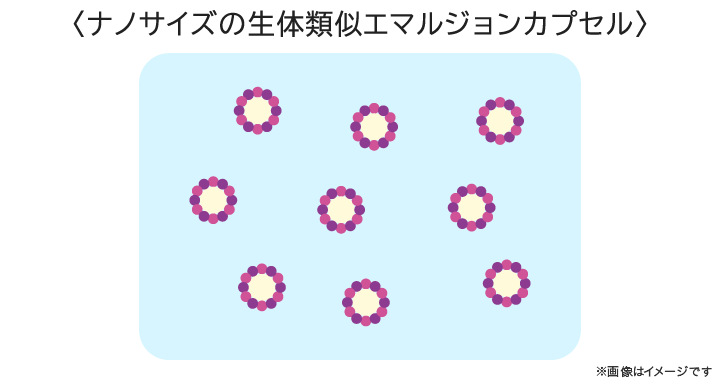 ナノサイズの生体類似エマルジョンカプセル