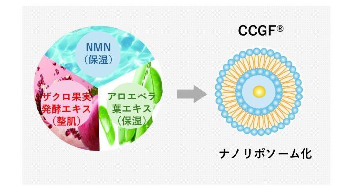 厳選された有用成分がエイジングサインにまっすぐアプローチ!