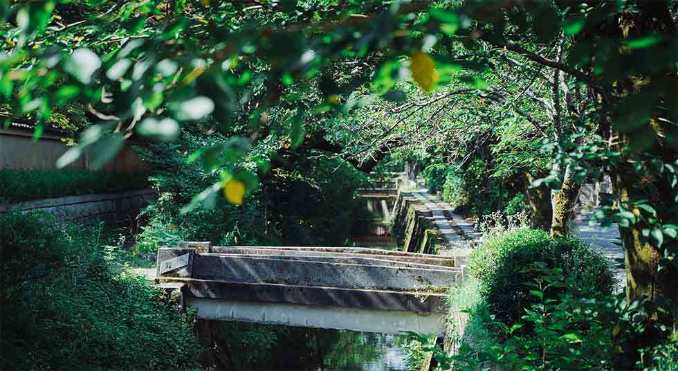 晴れた日の京の小道をイメージした精油100%の香り