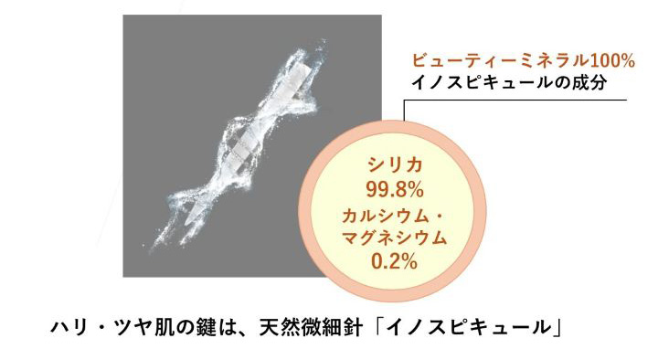 ハリ・ツヤ肌の鍵は、天然微細針「イノスピキュール」