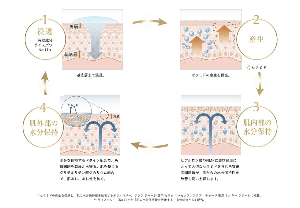 保湿の新定義:セルフ ハイドロ テクノロジー*6
