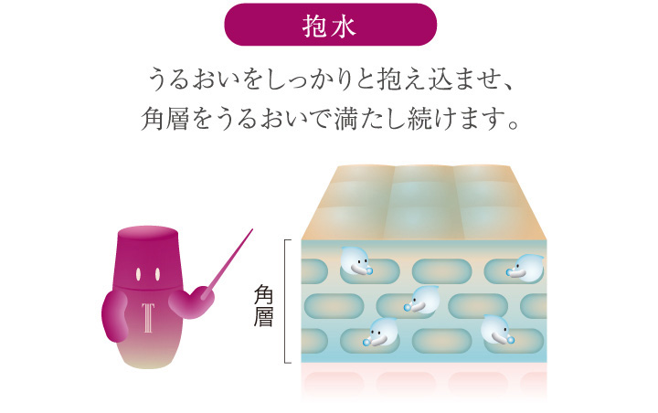 抱水 うるおいをしっかりと抱え込みませ、角層をうるおいで満たし続けます。
