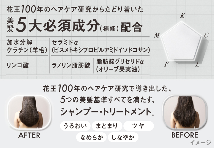 世界初*2!花王100年のヘアケア研究からたどり着いた美髪5大必須成分*3(補修)配合