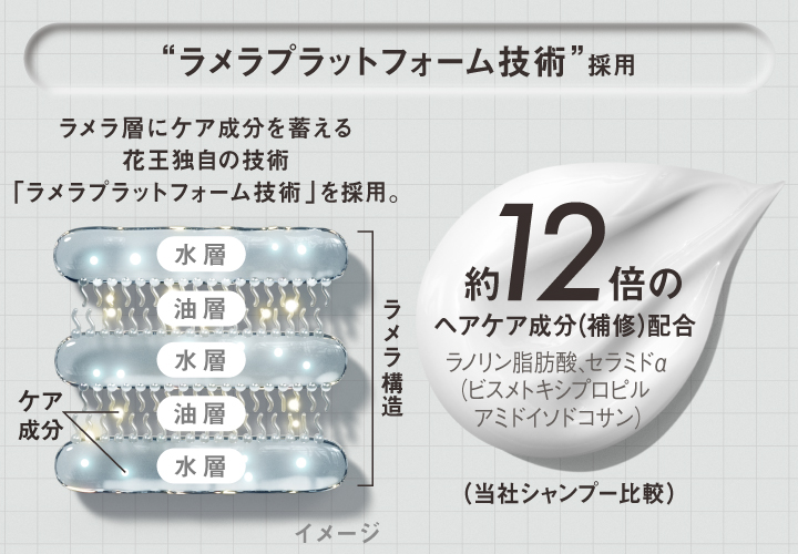 約12倍のヘアケア成分*4(補修)配合シャンプー(当社シャンプー比較)