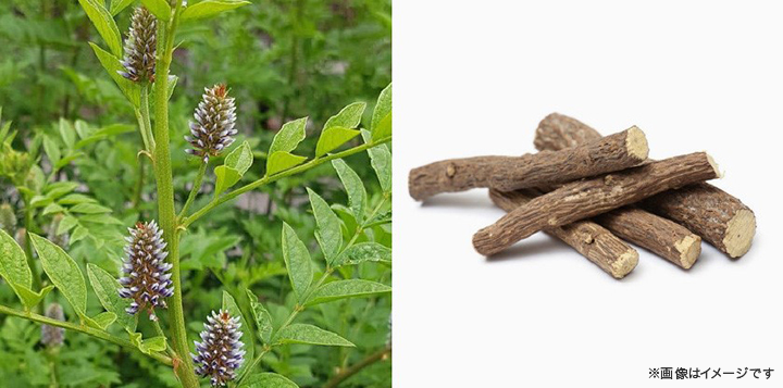 甘草由来の肌あれ防止有効成分を配合!