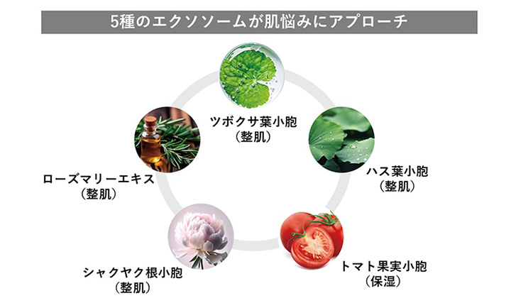 5種のエクソソームが肌悩みにアプローチ