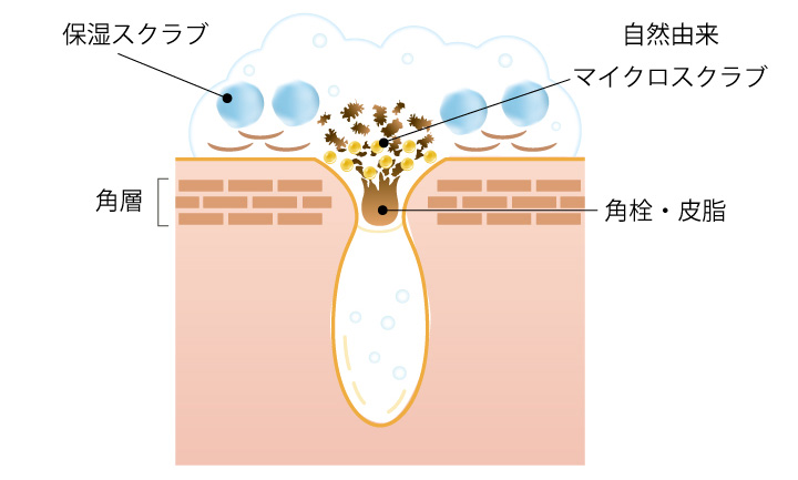 2種のスクラブが毛穴汚れを根本から洗浄