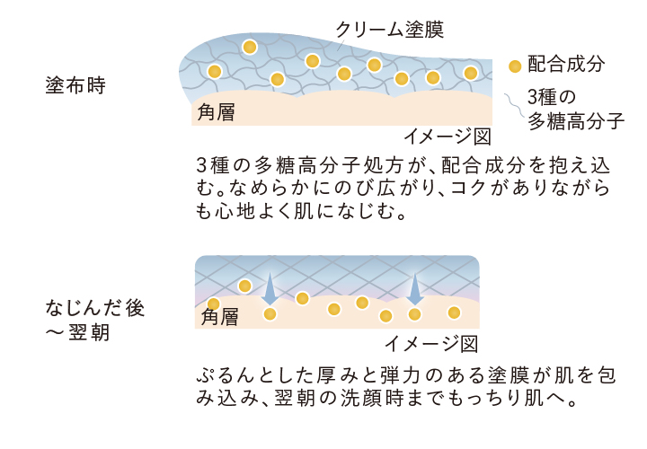 ひたひたのうるおいで睡眠中の肌を包む塗膜技術