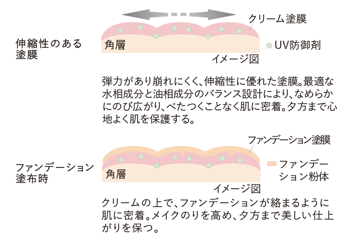伸縮性の高いシールド膜で肌を包み込む塗膜技術