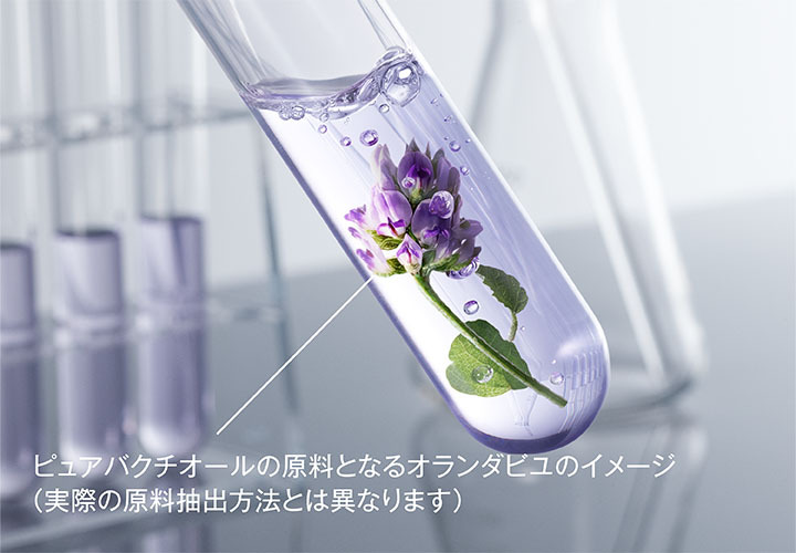 着バクチオールEX成分*2をシリーズ内最高濃度で配合。