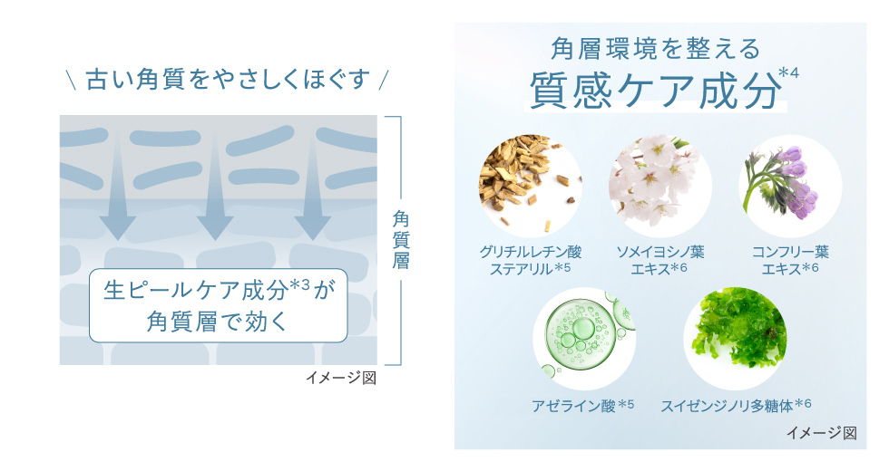生ピールケア成分&質感ケア成分でターンオーバーをサポート