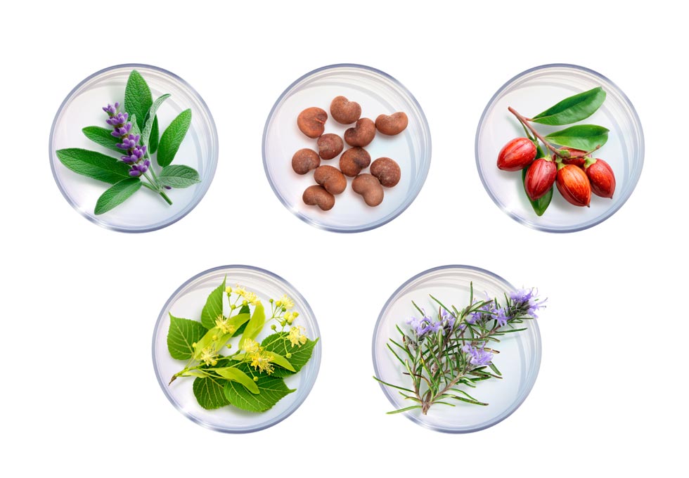 美容成分*3でスキンケア