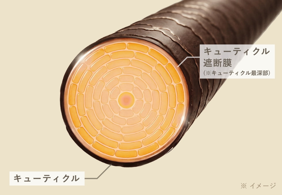 世界初の高浸透密着処方で髪の芯まで補修成分を届ける