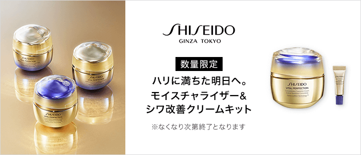 SHISEIDO 0625 VPNキット