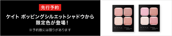 ケイト_ポッピングシルエットシャドウ