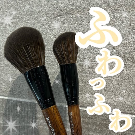 パウダーブラシEX