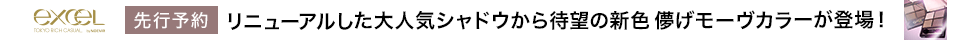 eccp7081	エクセル