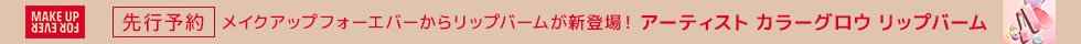 メイクアップフォーエバー_eccp7407