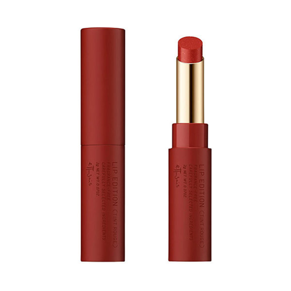 Lip Edition (Tint Rouge) 06 Brick Red