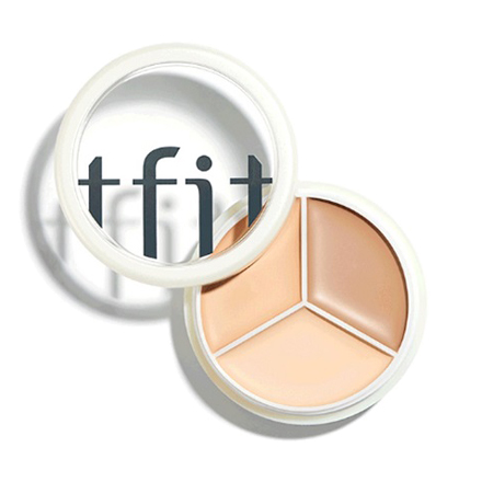 カバーアッププロコンシーラー / tfit(パレットコンシーラー