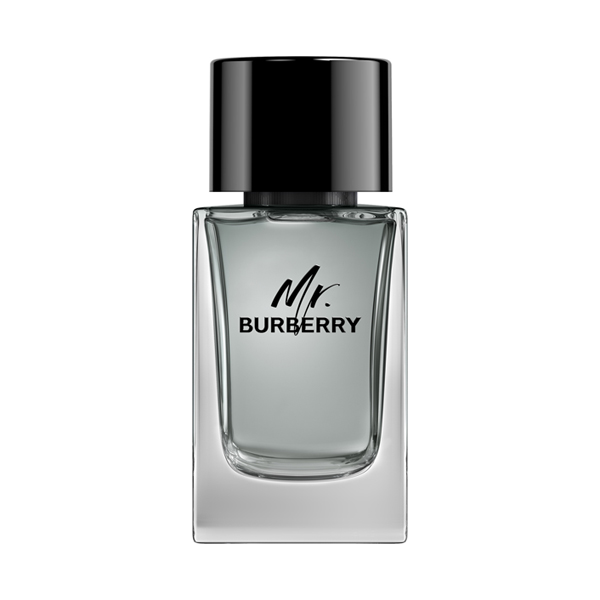 ミスターバーバリー オードトワレ 100ml　【新品未使用】 ミスター バーバリー オードトワレ / Burberry Beauty(香水, 香水