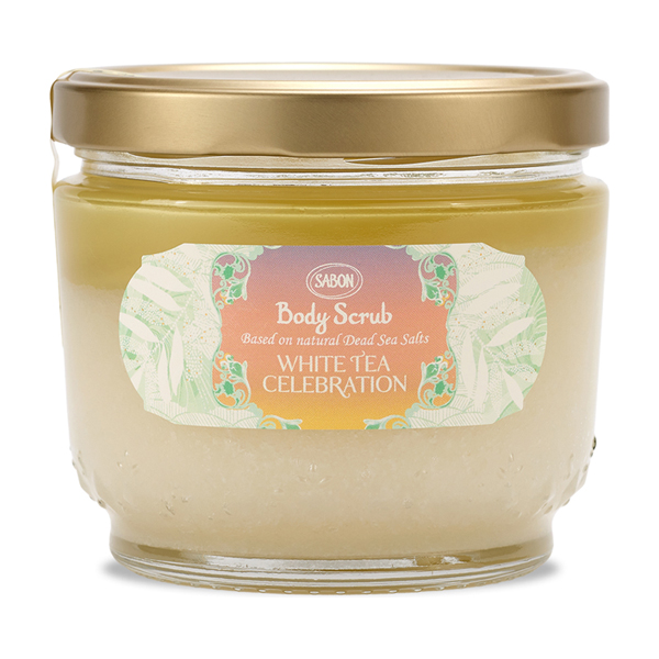 403387_1.jpg?02210258