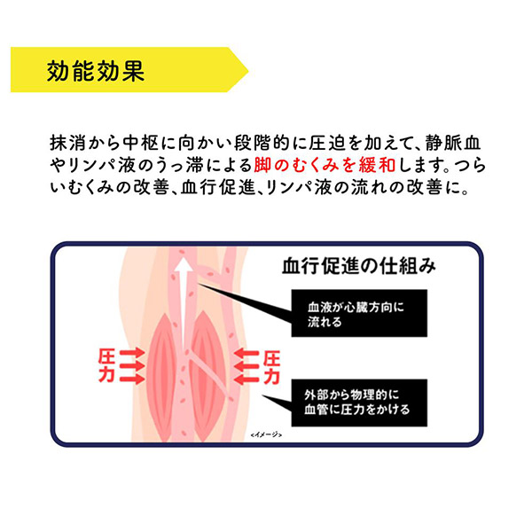 メディカル リンパケア ひざ下 / ブラック / ひざ下 M 1