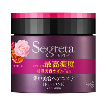 セグレタ 集中美容　ヘアエステ 180g トリートメント