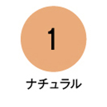 フィットカバーファンデーション 02