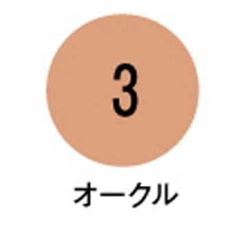 フィットカバーファンデーション 02