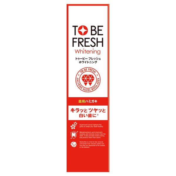 薬用デンタルペースト / 100g