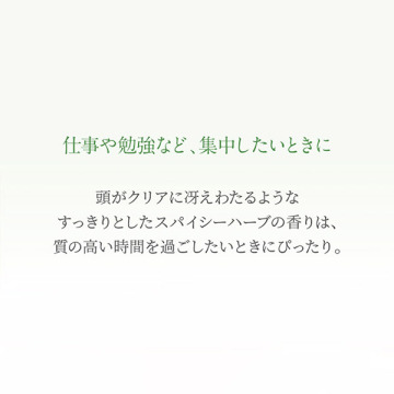 アロマパルス スタディ 03