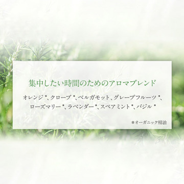 アロマパルス スタディ 04