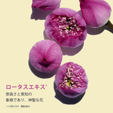 プラント フェイス オイル オイリースキン 03
